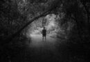 Focus on Jesus, Not the Storm