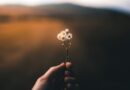 The Value of Patience 2